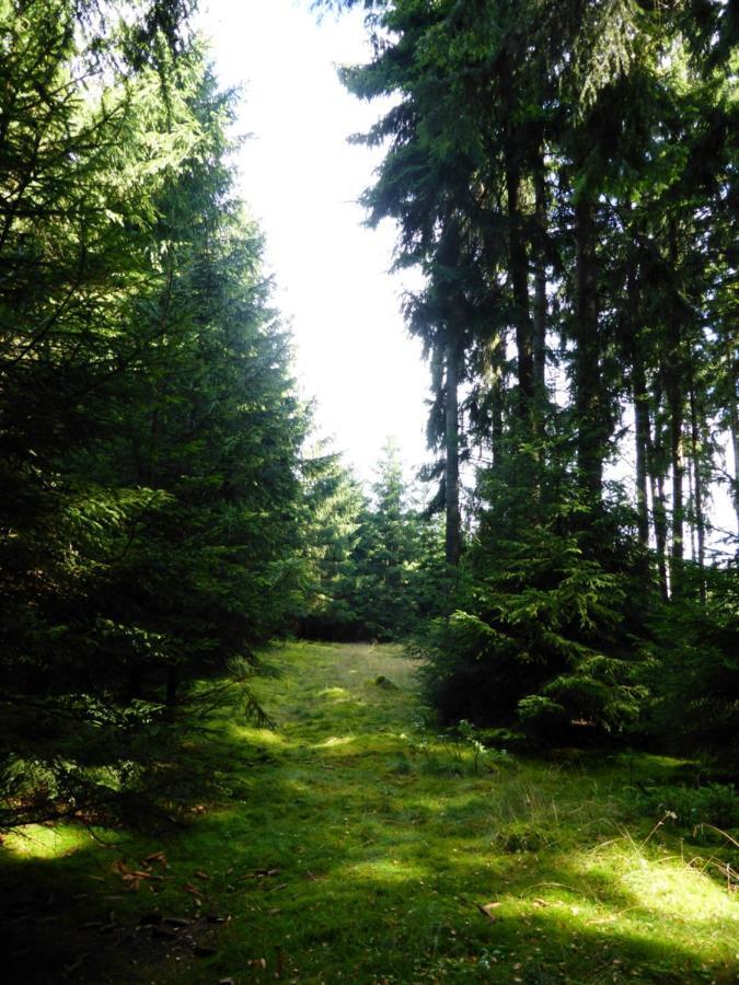 Berghof Leilighet Zeulenroda-Triebes Eksteriør bilde