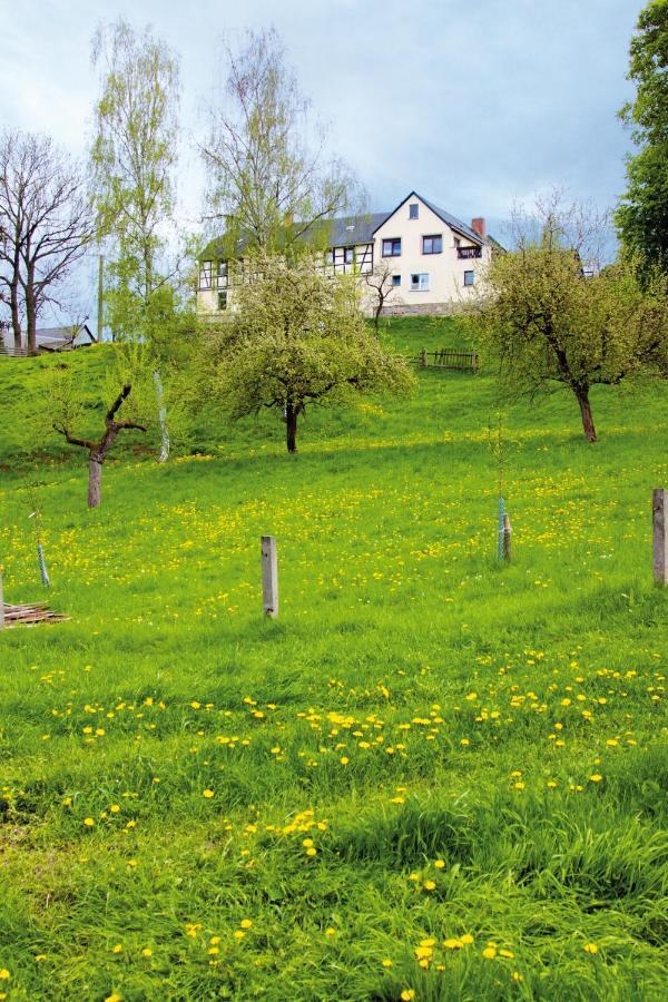Berghof Leilighet Zeulenroda-Triebes Eksteriør bilde